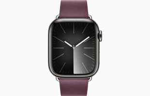 Apple Watch Series 9 // 41мм GPS+Cellular // Корпус из нержавеющей стали графитового цвета, ремешок цвета "шелковица" с современной пряжкой (Modern Buckle), размер ремешка М