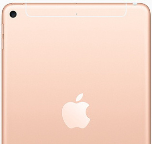 iPad Mini (2019) 256Gb / Wi-Fi+ Cellular / Gold