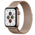 Apple Watch Series 5 // 40мм GPS + Cellular // Корпус из нержавеющей стали золотого цвета, миланский сетчатый браслет золотого цвета