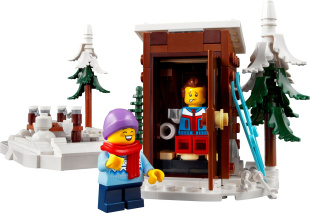 Конструктор LEGO Ideas Alpine Lodge / Альпийский домик (10325)
