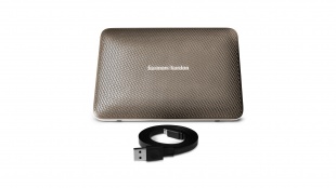 Harman Kardon Esquire 2 Champagne