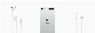 Apple iPod touch 7 (MVJD2) / mid 2019 / 256 ГБ (Серебристый)