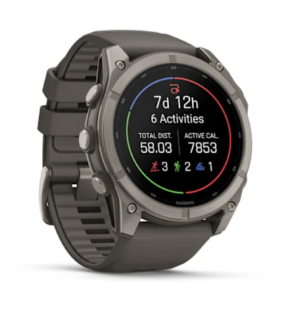 Мультиспортивные часы Garmin Fenix 9 (47mm), титановый корпус, серый силиконовый ремешок  (Pebble Gray)