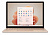 Microsoft Surface Laptop 5 - 512GB / Intel Evo Core i5 / 8Gb RAM / 13,5" / Sandstone (Metal)