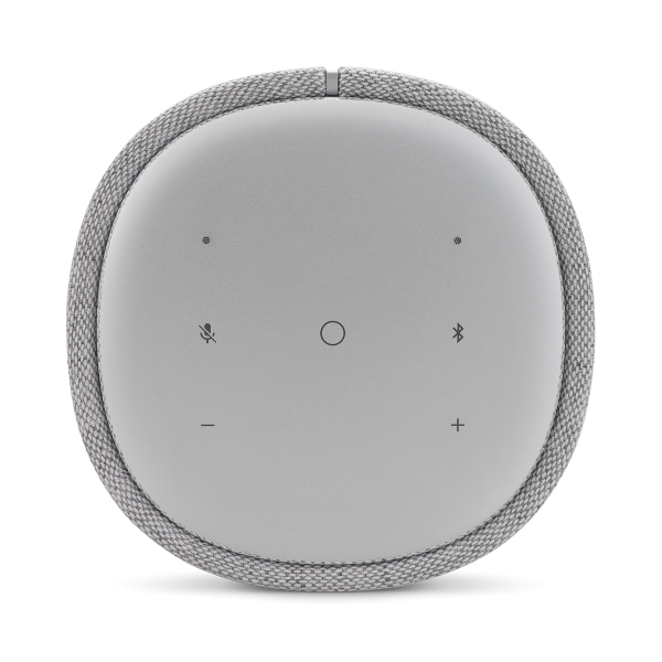 Harman Kardon Citation ONE Grey