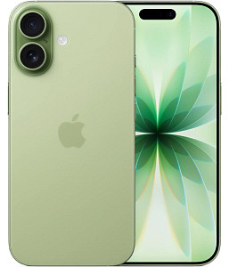 iPhone 17, 256Гб, Sage/Зеленый шалфей (Only eSIM) (без RuStore)