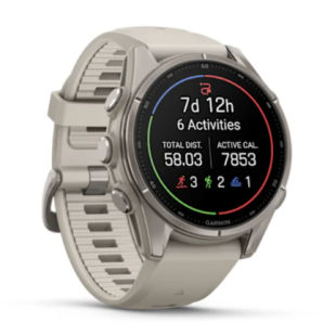 Мультиспортивные часы Garmin Fenix 9 (43mm), титановый корпус, светло-серый силиконовый ремешок  (Fog Gray)