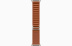Apple Watch Ultra 3 (2025) // 49мм GPS+Cellular // Корпус из титана, ремешок Alpine Loop терракотового цвета